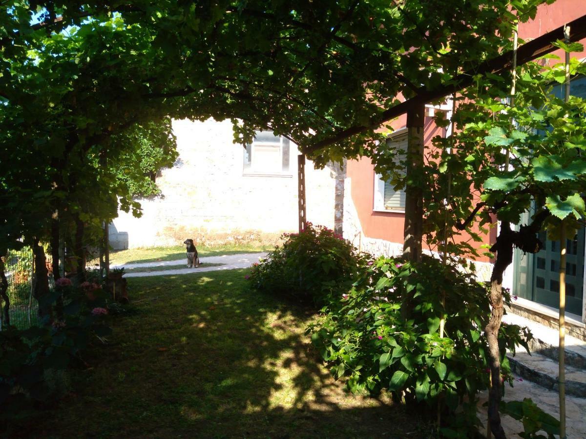 Appartement Bella Di Notte à San Giorgio a Liri Extérieur photo